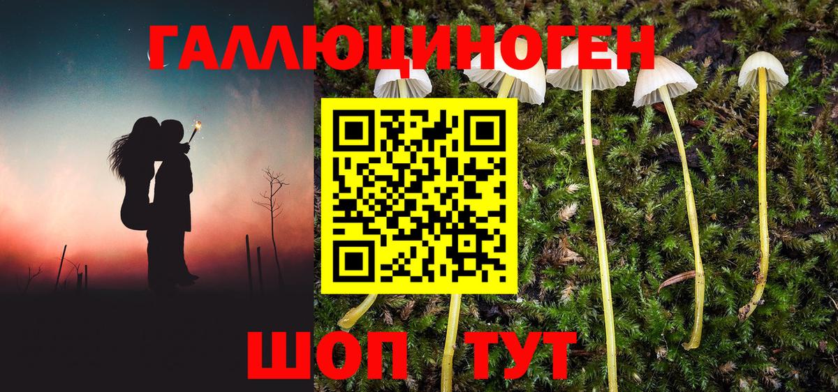 Псилоцибиновые грибы MAGIC MUSHROOMS  Вход с VPN  Новочеркасск 