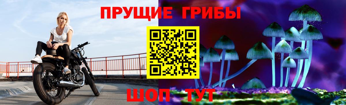 Псилоцибиновые грибы Новочеркасск
